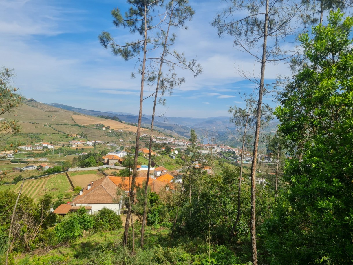 whatsapp-image-2026-04-22-at-104419-2jpeg