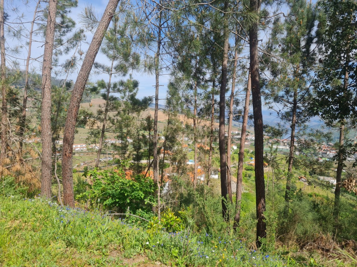 whatsapp-image-2026-04-22-at-104420-1jpeg