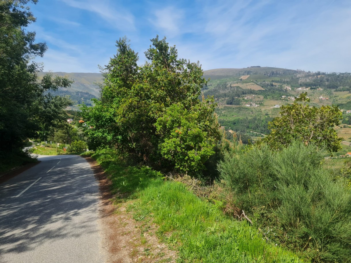 whatsapp-image-2026-04-22-at-104419jpeg