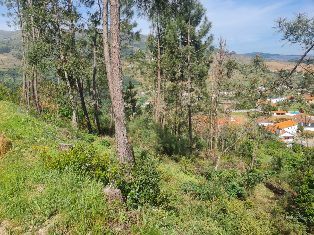 whatsapp-image-2026-04-22-at-104421-1jpeg