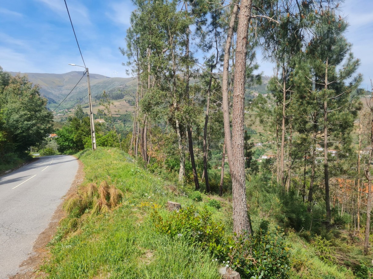 whatsapp-image-2026-04-22-at-104421jpeg