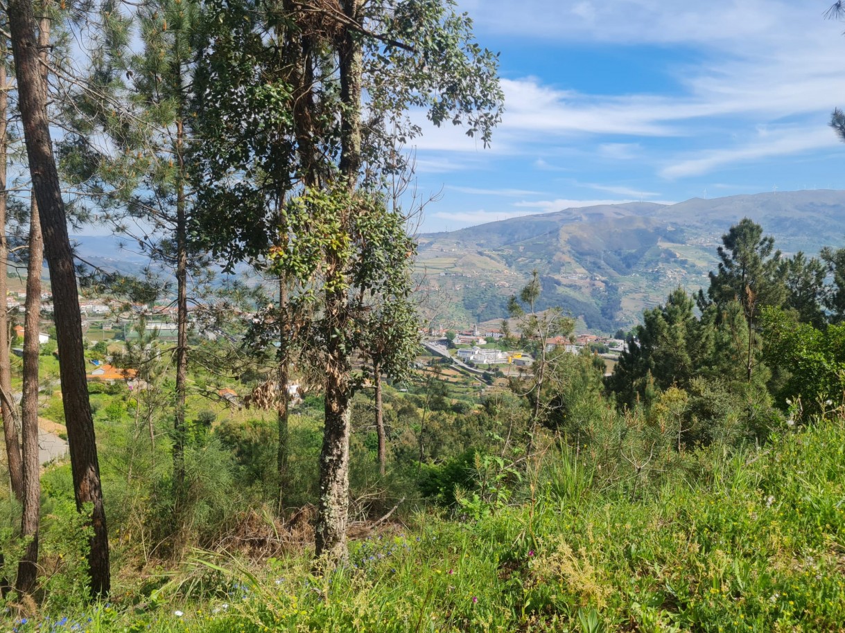 whatsapp-image-2026-04-22-at-104420jpeg