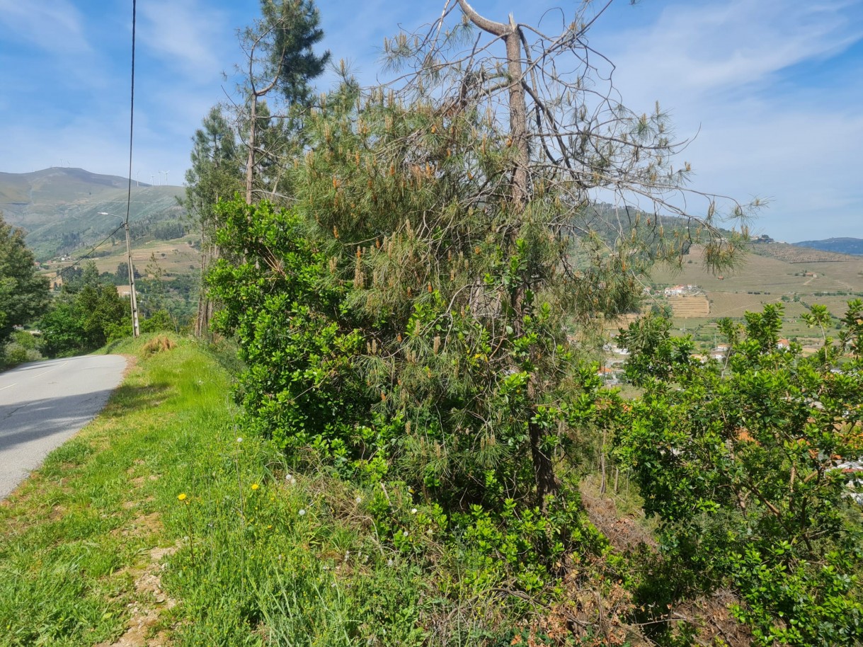 whatsapp-image-2026-04-22-at-104422-1jpeg