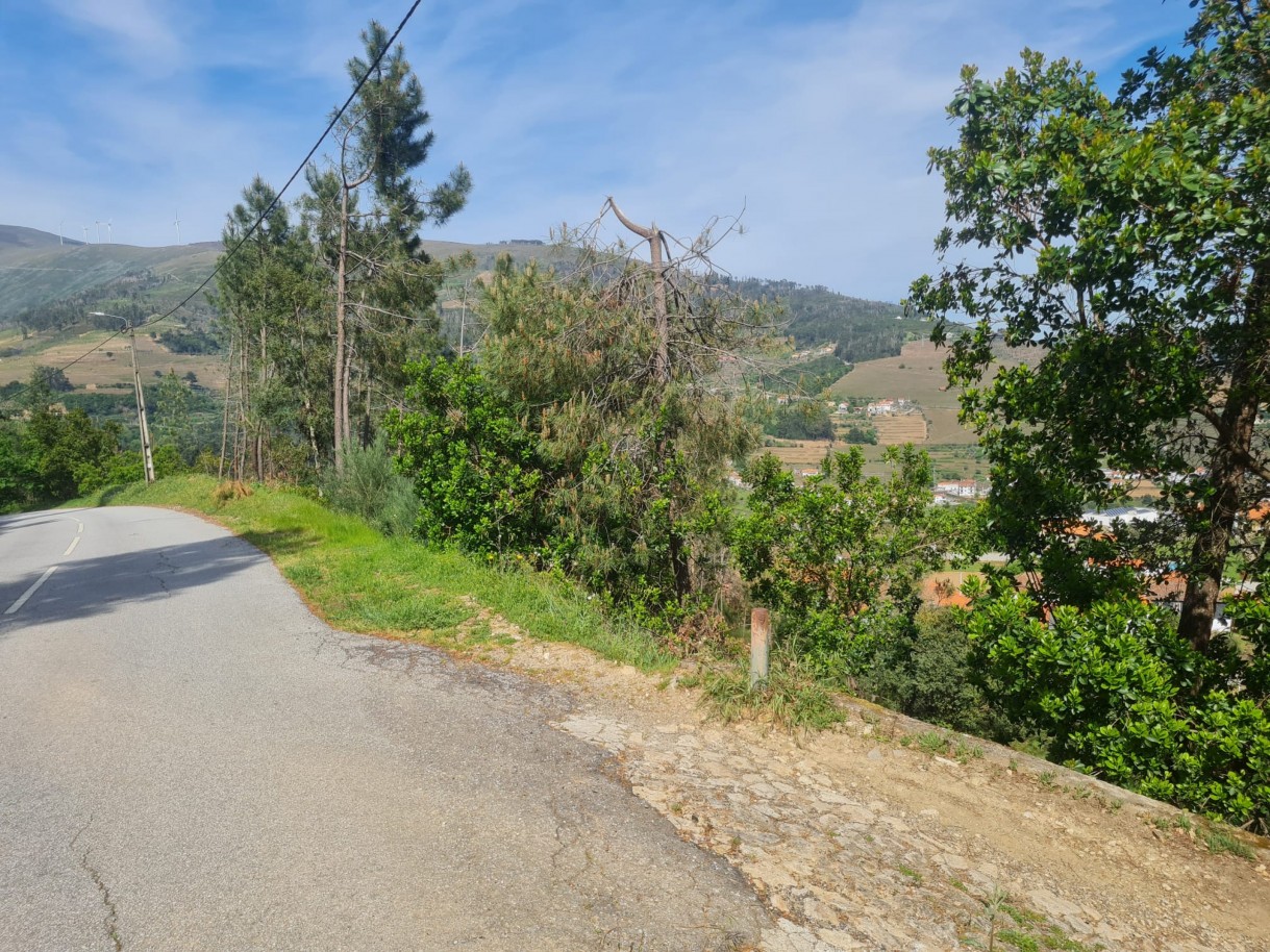 whatsapp-image-2026-04-22-at-104422-2jpeg