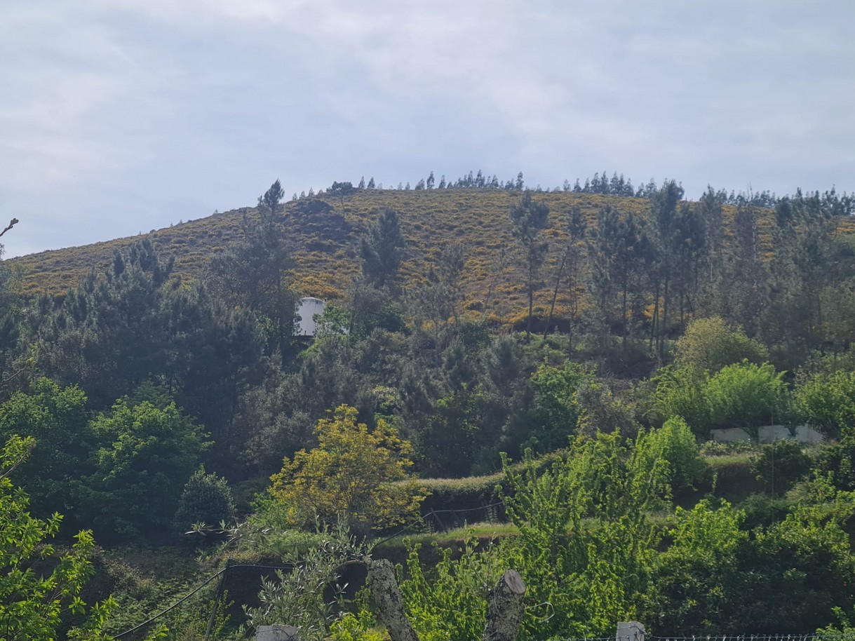 whatsapp-image-2026-04-22-at-104422-3jpeg