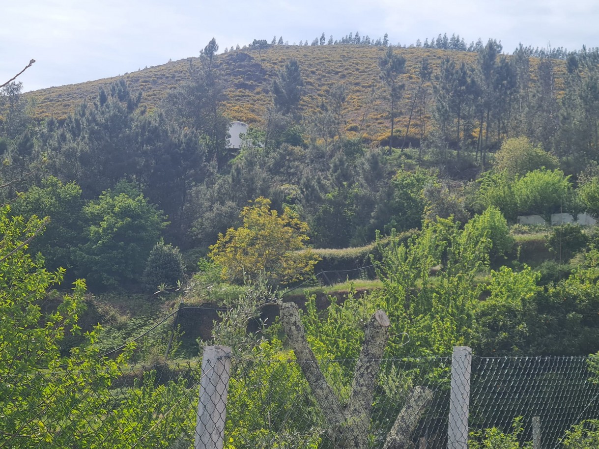 whatsapp-image-2026-04-22-at-104423-1jpeg