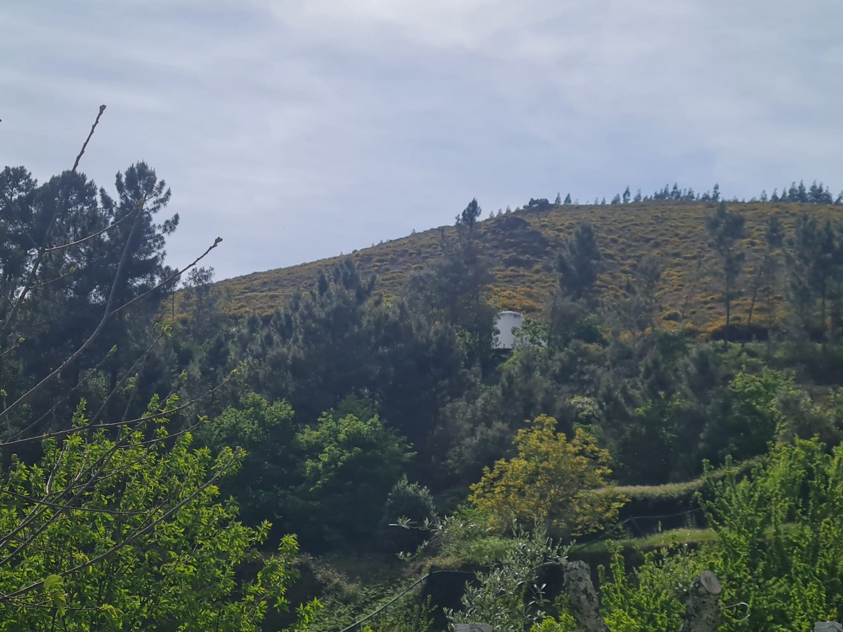 whatsapp-image-2026-04-22-at-104423-2jpeg