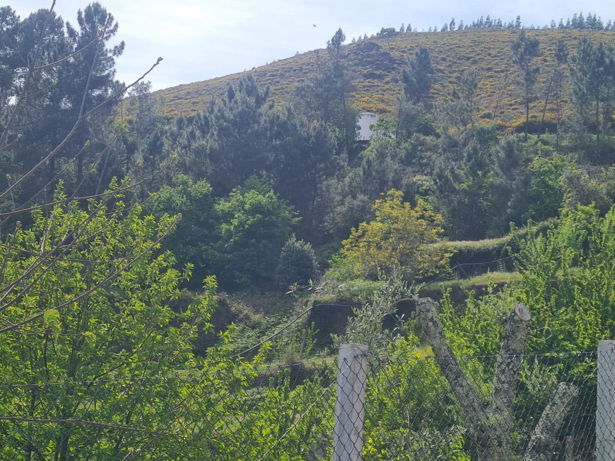 whatsapp-image-2026-04-22-at-104423jpeg