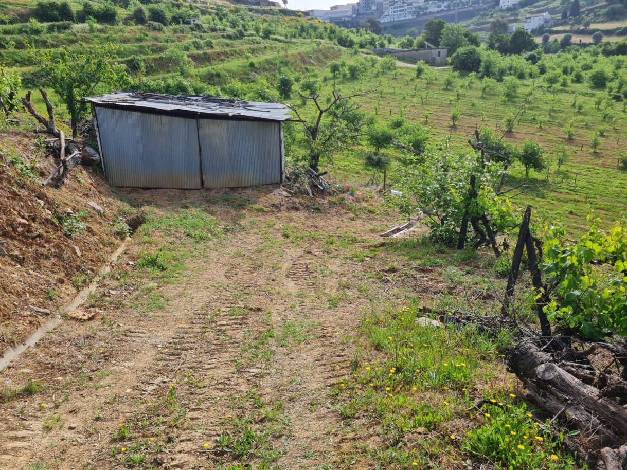 whatsapp-image-2026-04-29-at-154051jpeg