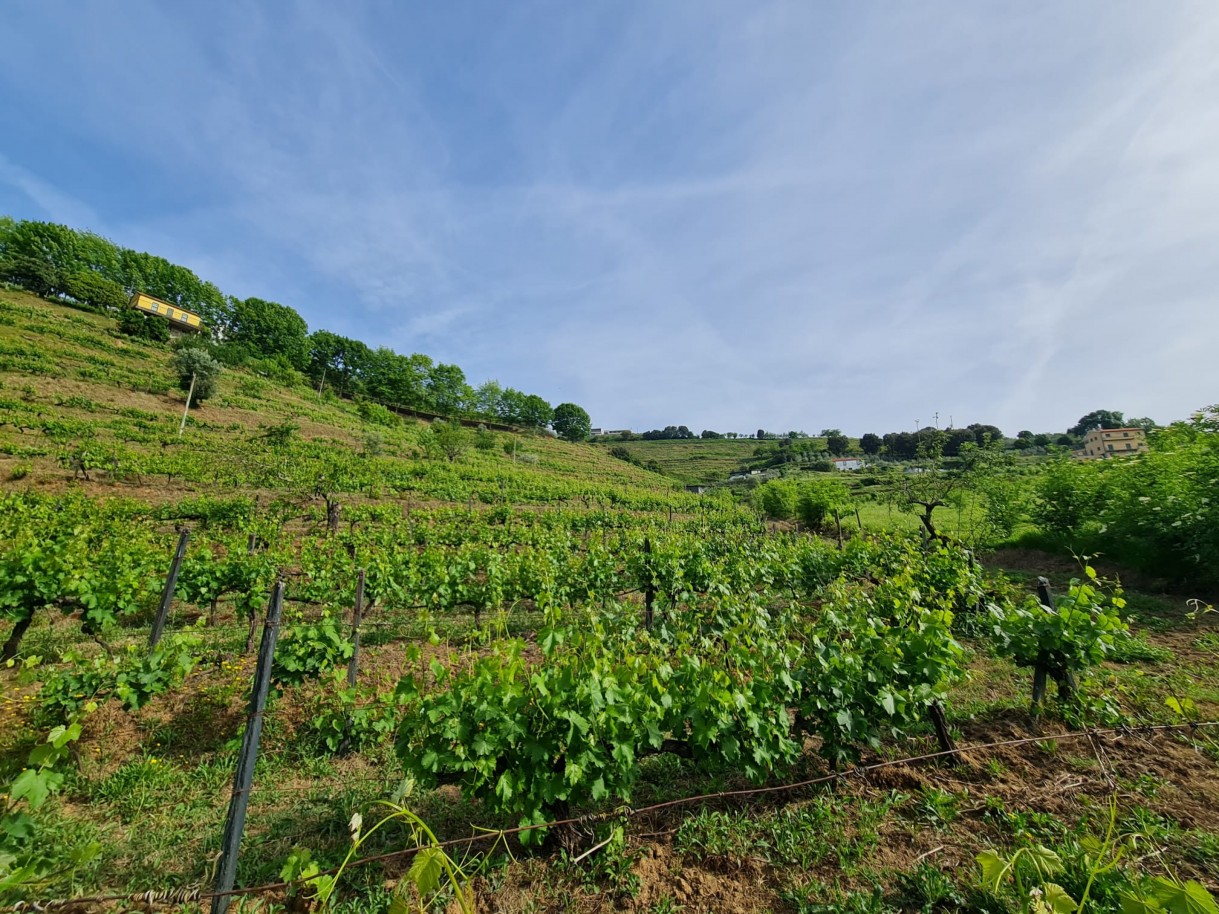 whatsapp-image-2026-04-29-at-154052-2jpeg