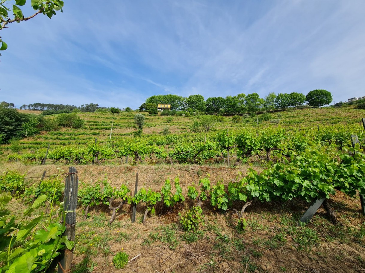 whatsapp-image-2026-04-29-at-154052-1jpeg