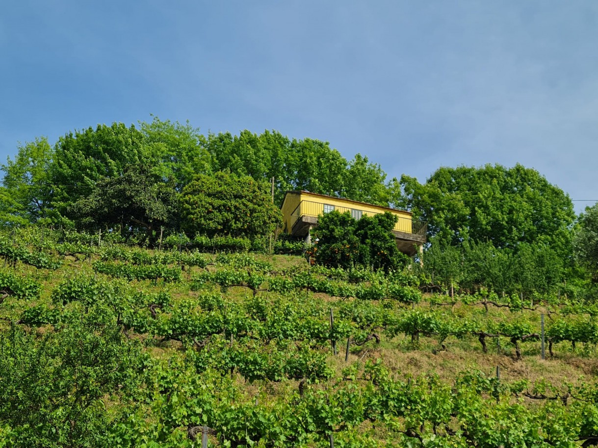 whatsapp-image-2026-04-29-at-154052-4jpeg