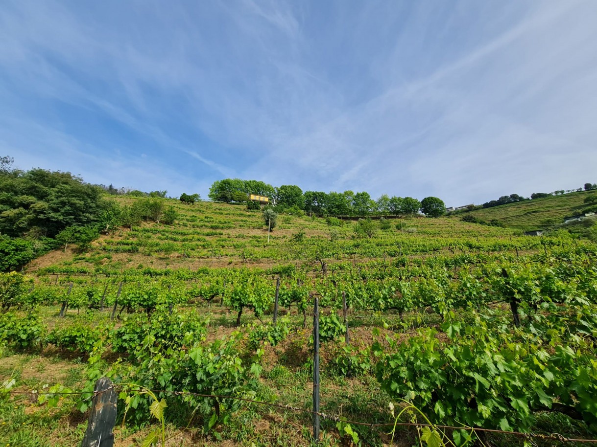 whatsapp-image-2026-04-29-at-154053-1jpeg