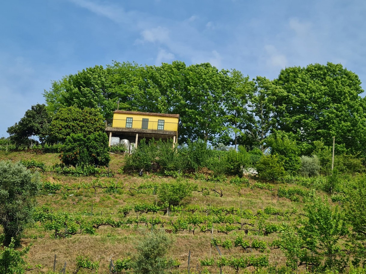 whatsapp-image-2026-04-29-at-154052jpeg