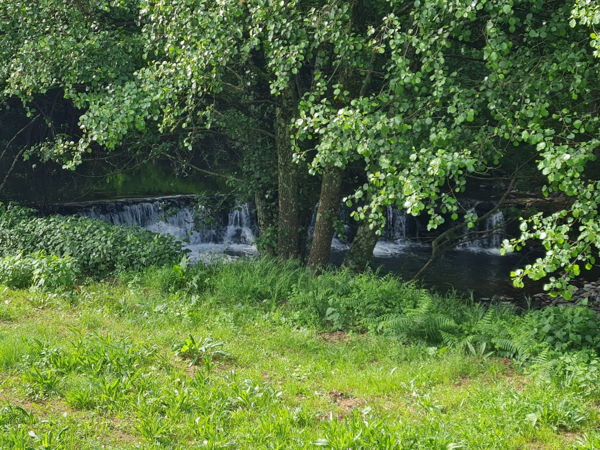 whatsapp-image-2026-04-29-at-154053-3jpeg