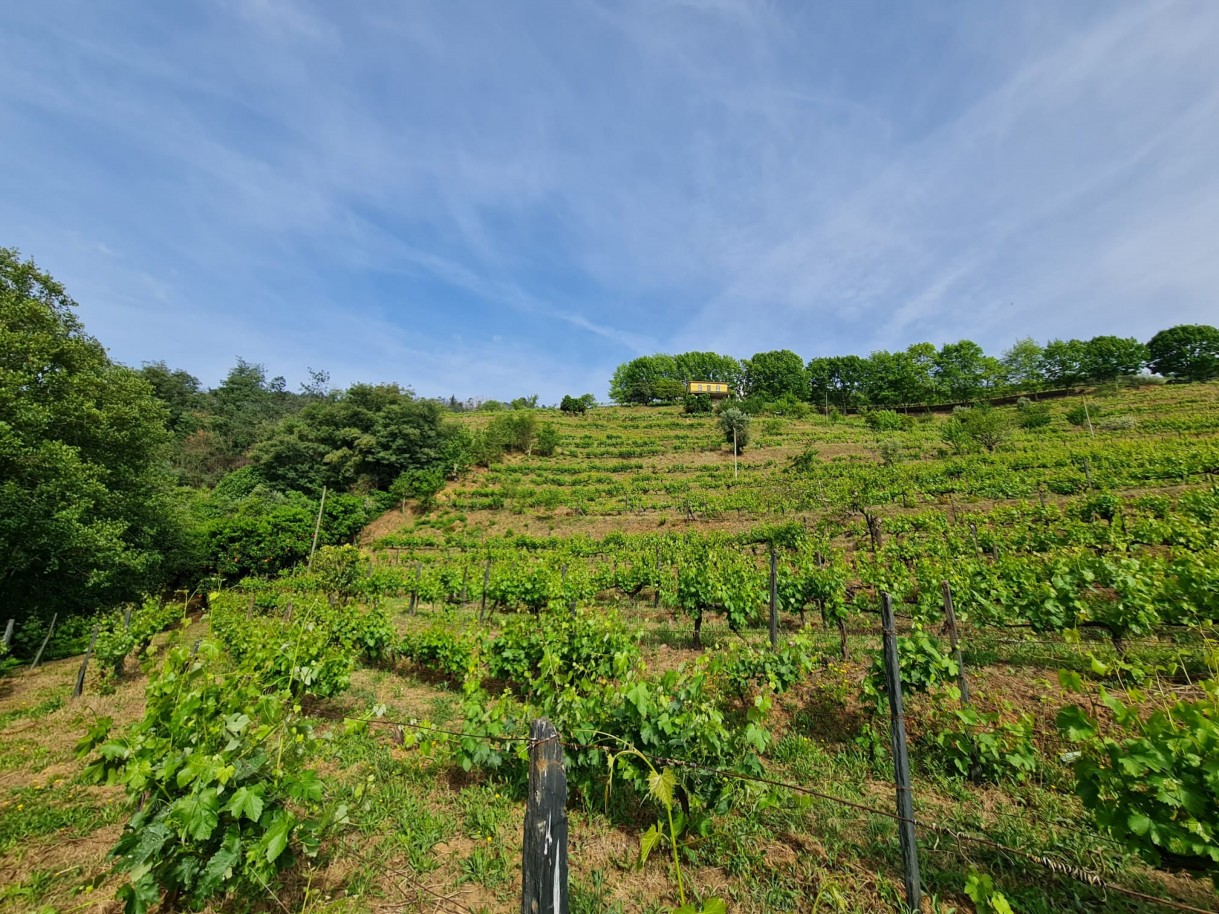 whatsapp-image-2026-04-29-at-154053-2jpeg