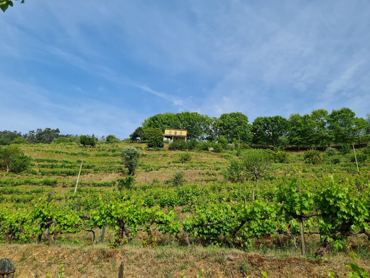 whatsapp-image-2026-04-29-at-154053-4jpeg