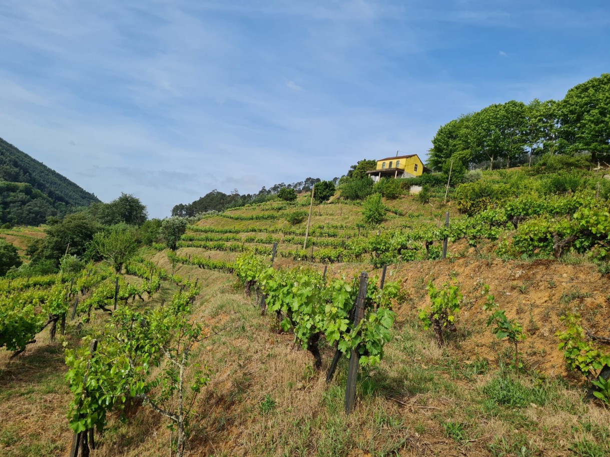 whatsapp-image-2026-04-29-at-154053-6jpeg