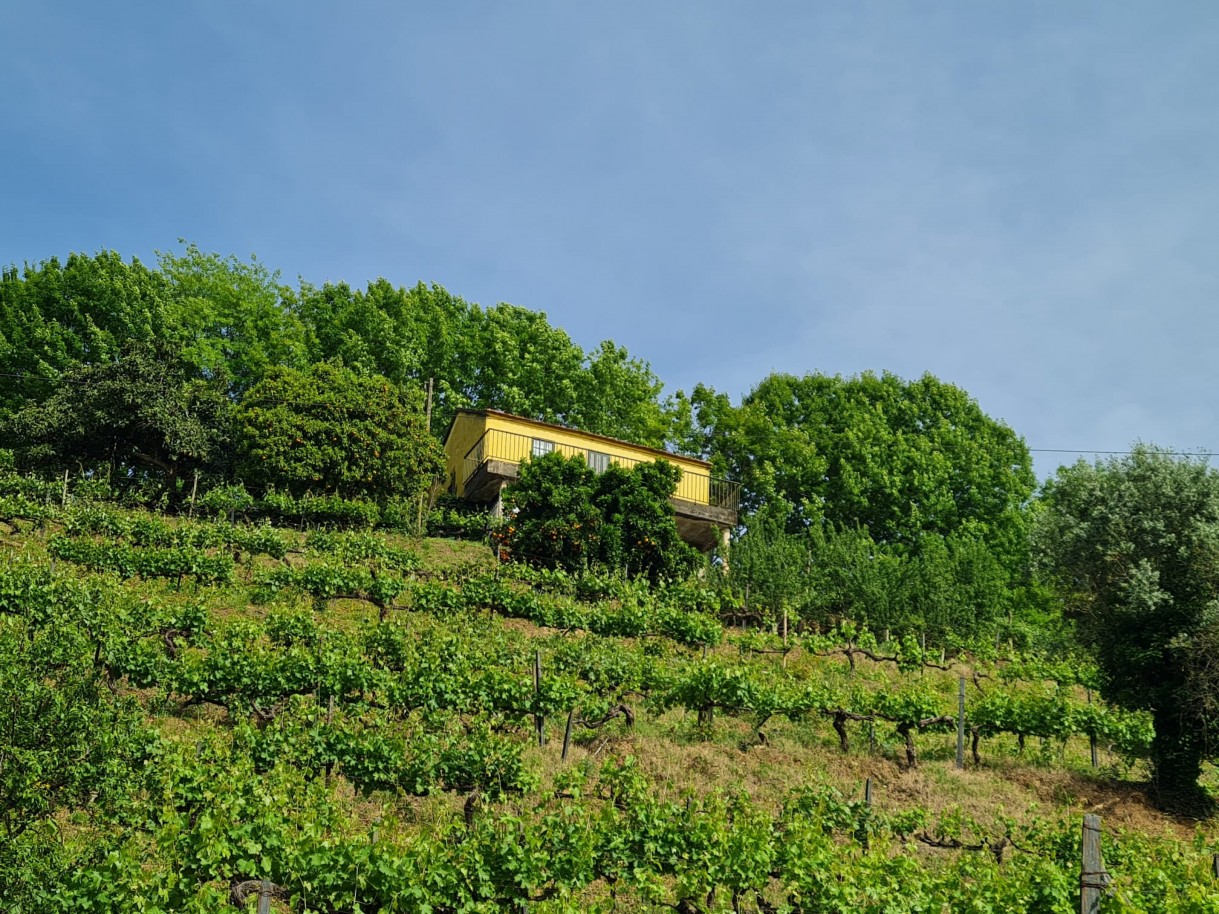 whatsapp-image-2026-04-29-at-154053jpeg