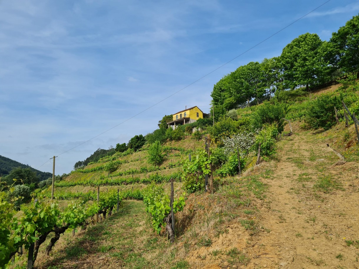 whatsapp-image-2026-04-29-at-154054jpeg