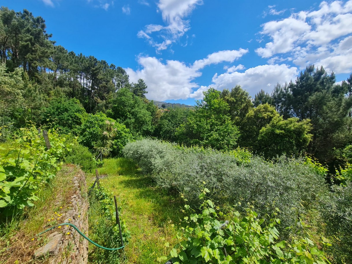 whatsapp-image-2026-05-04-at-131547-2jpeg