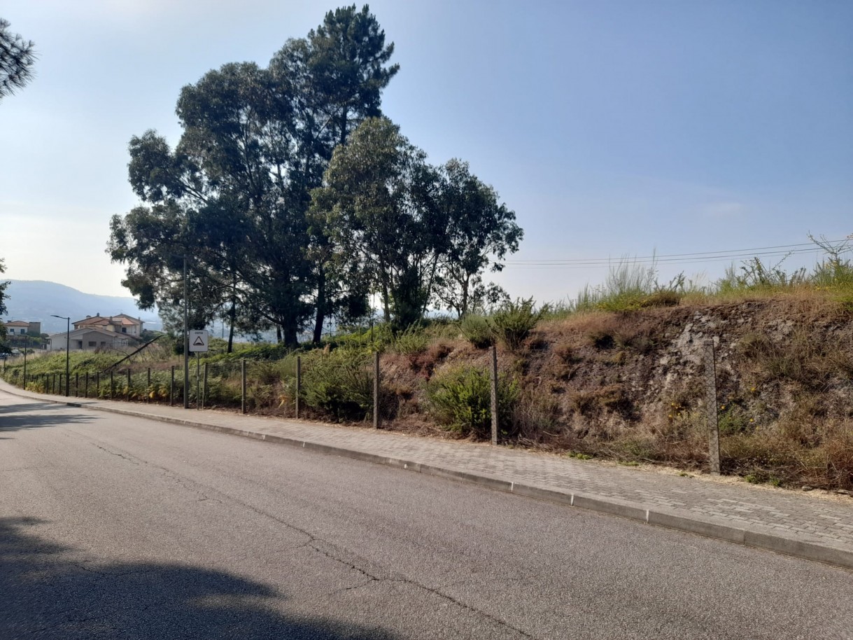 whatsapp-image-2026-06-17-at-103052-3jpeg